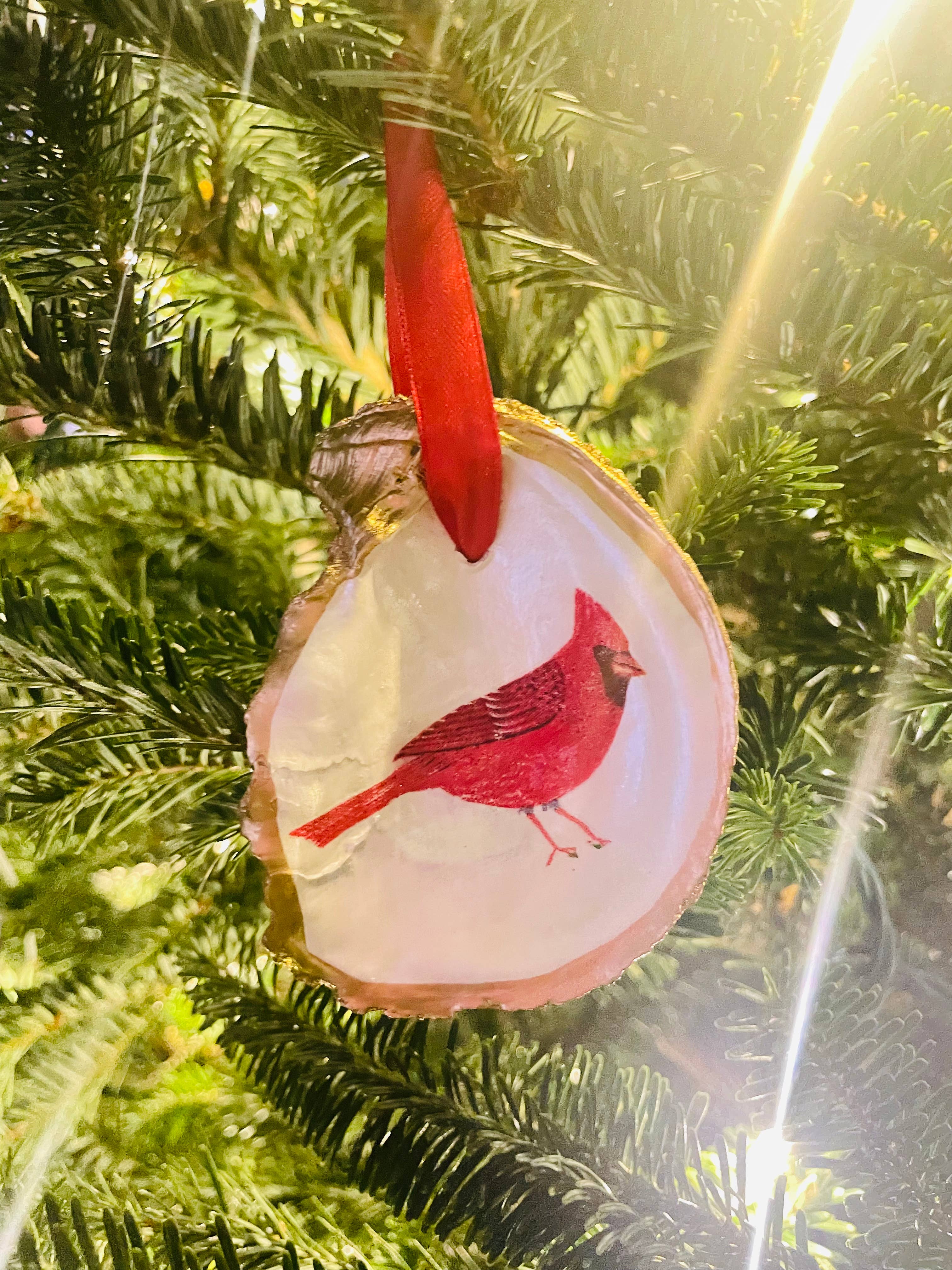 Cardinal Oyster Shell Ornament by Shells by Shea