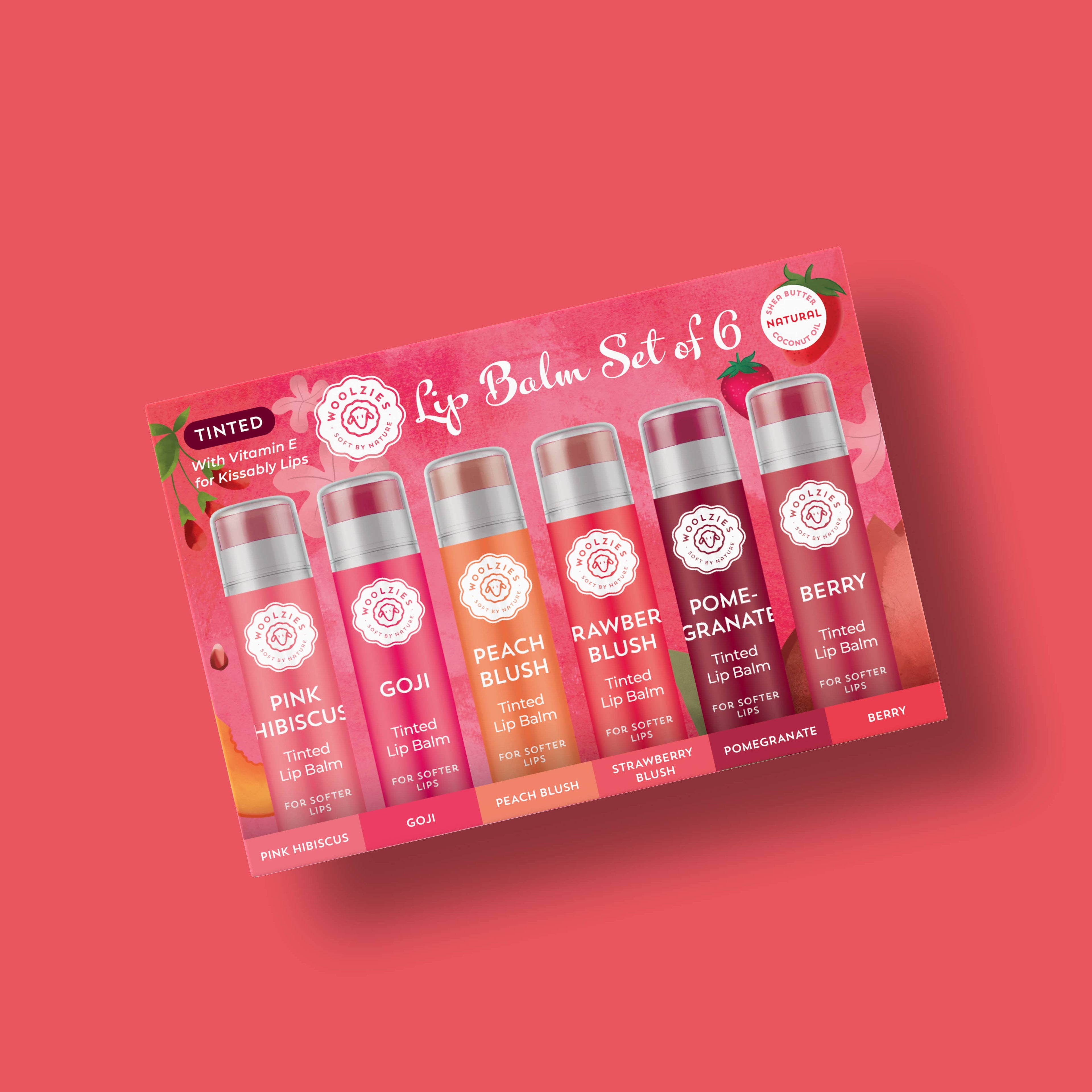 NEW Tinted Lip Balm Set of 6