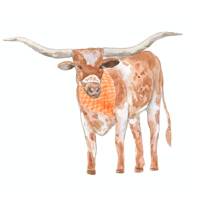 Texas Longhorn- Door Hanger: Yes- Please Include the Bow