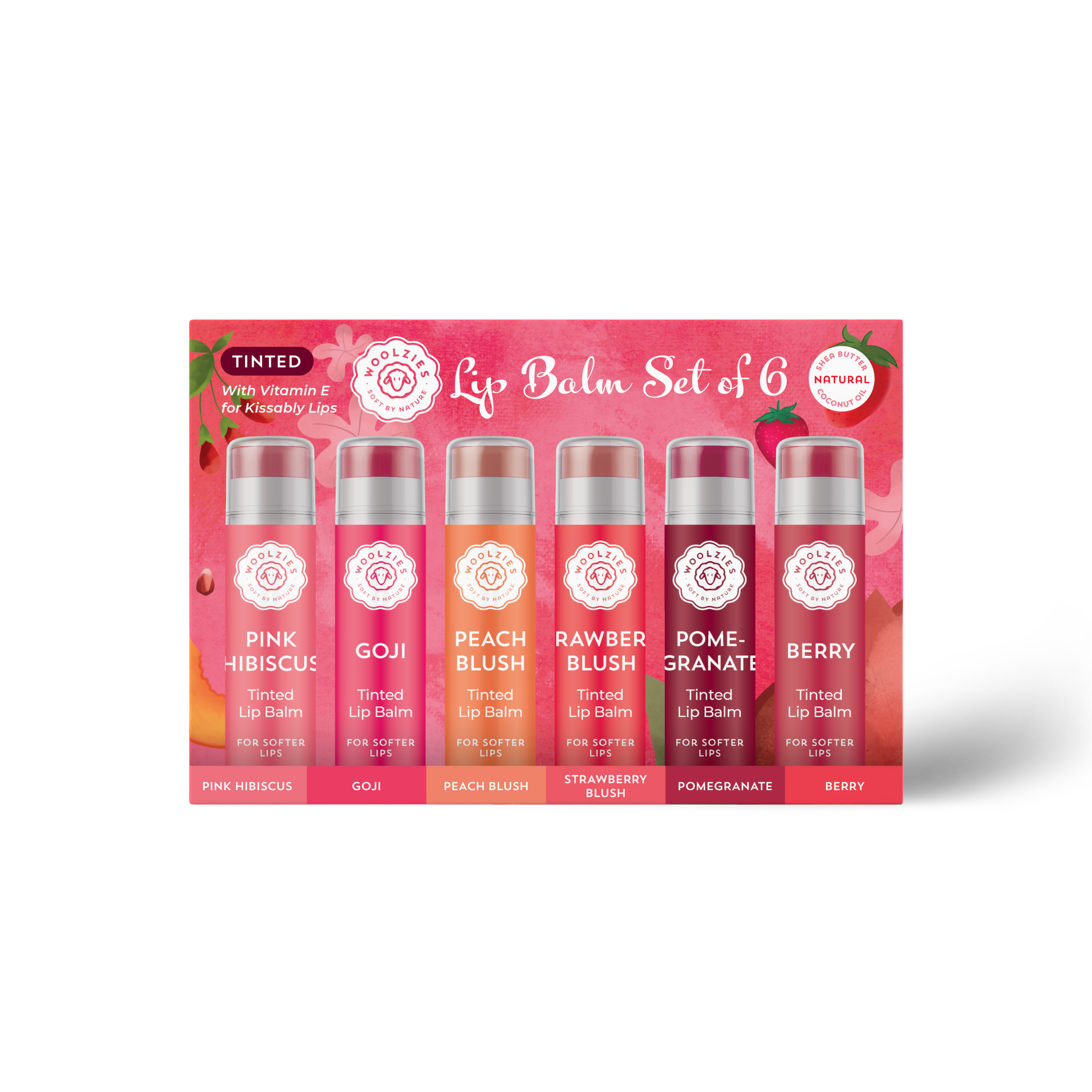 NEW Tinted Lip Balm Set of 6