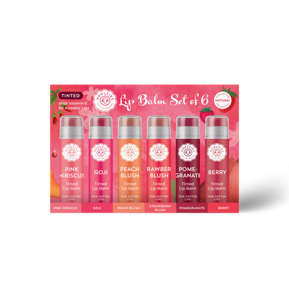 NEW Tinted Lip Balm Set of 6