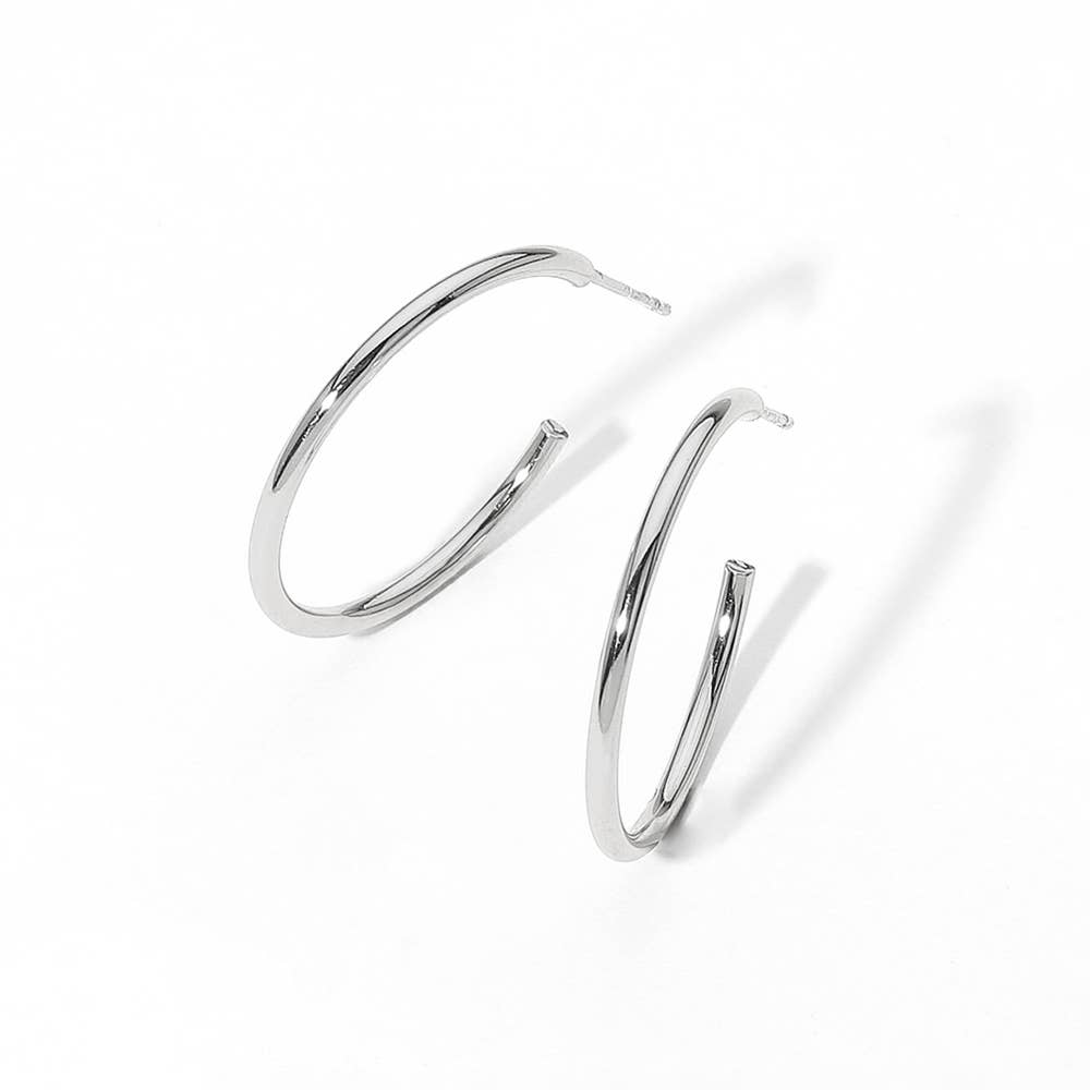 Stainless Steel Hoop Earrings
: Silver