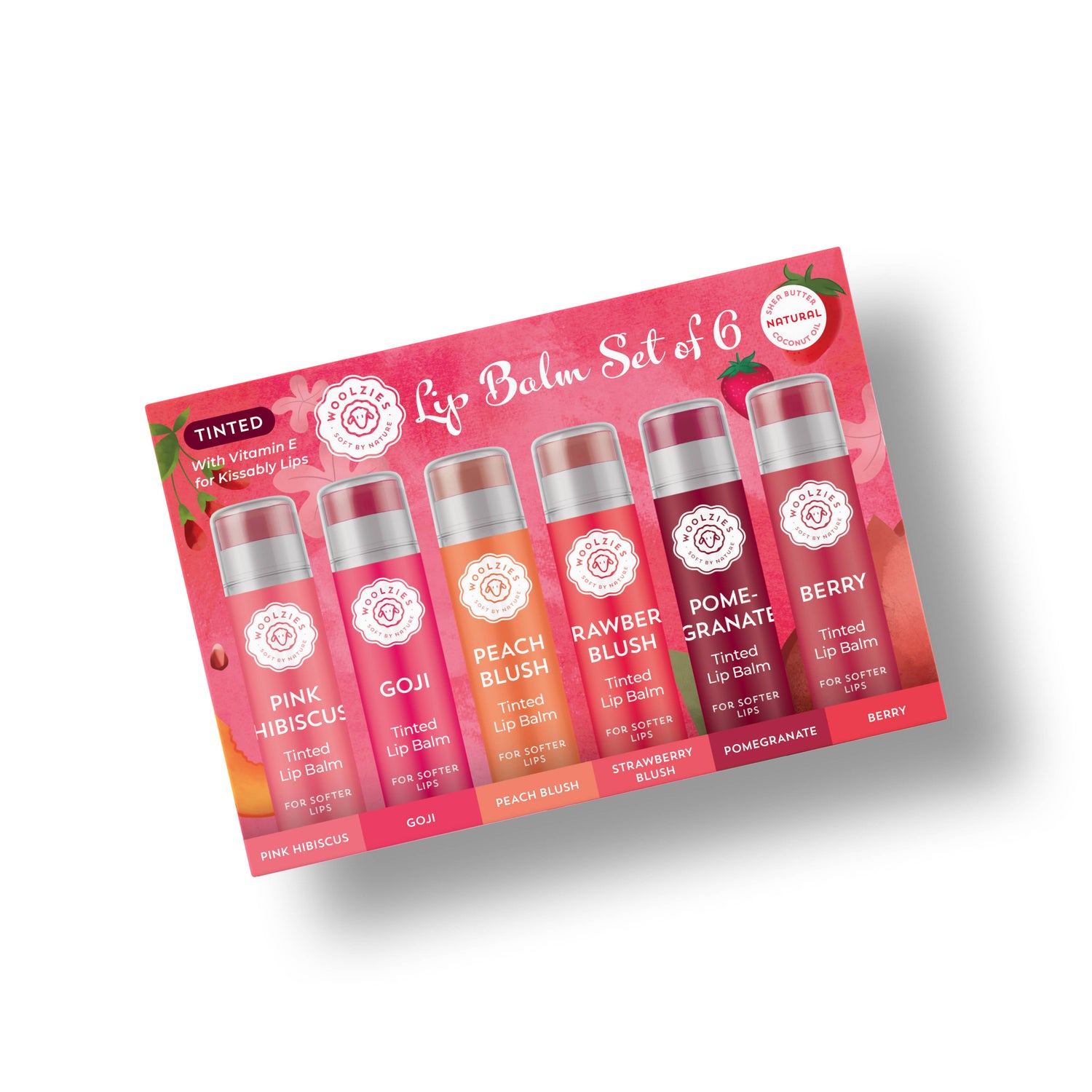 NEW Tinted Lip Balm Set of 6