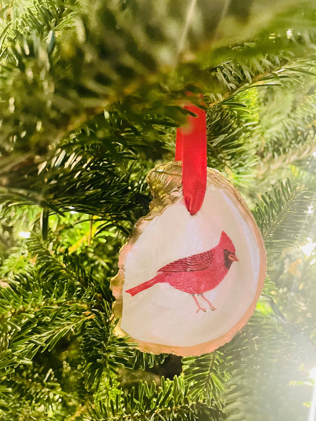Cardinal Oyster Shell Ornament by Shells by Shea