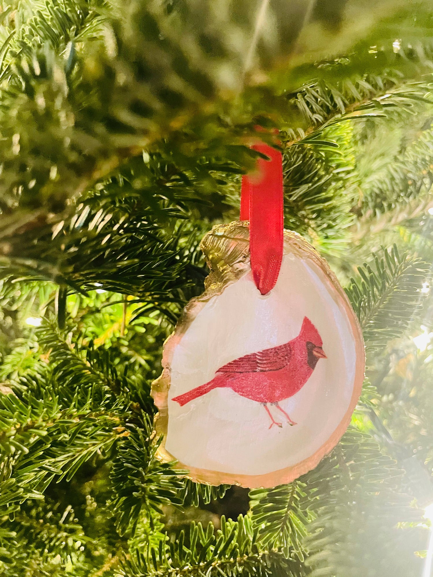 Cardinal Oyster Shell Ornament by Shells by Shea
