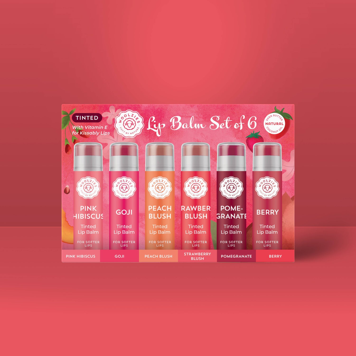 NEW Tinted Lip Balm Set of 6