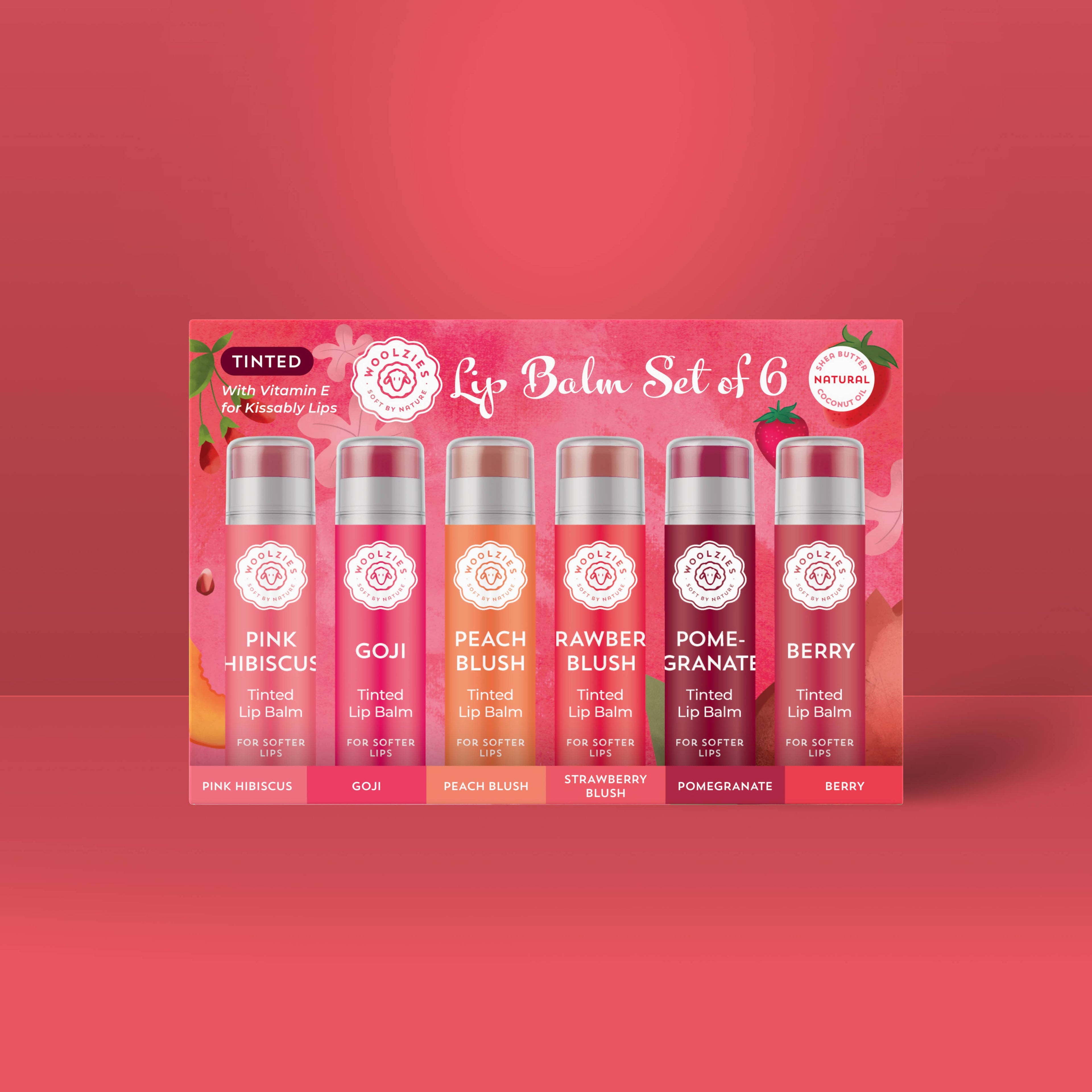 NEW Tinted Lip Balm Set of 6