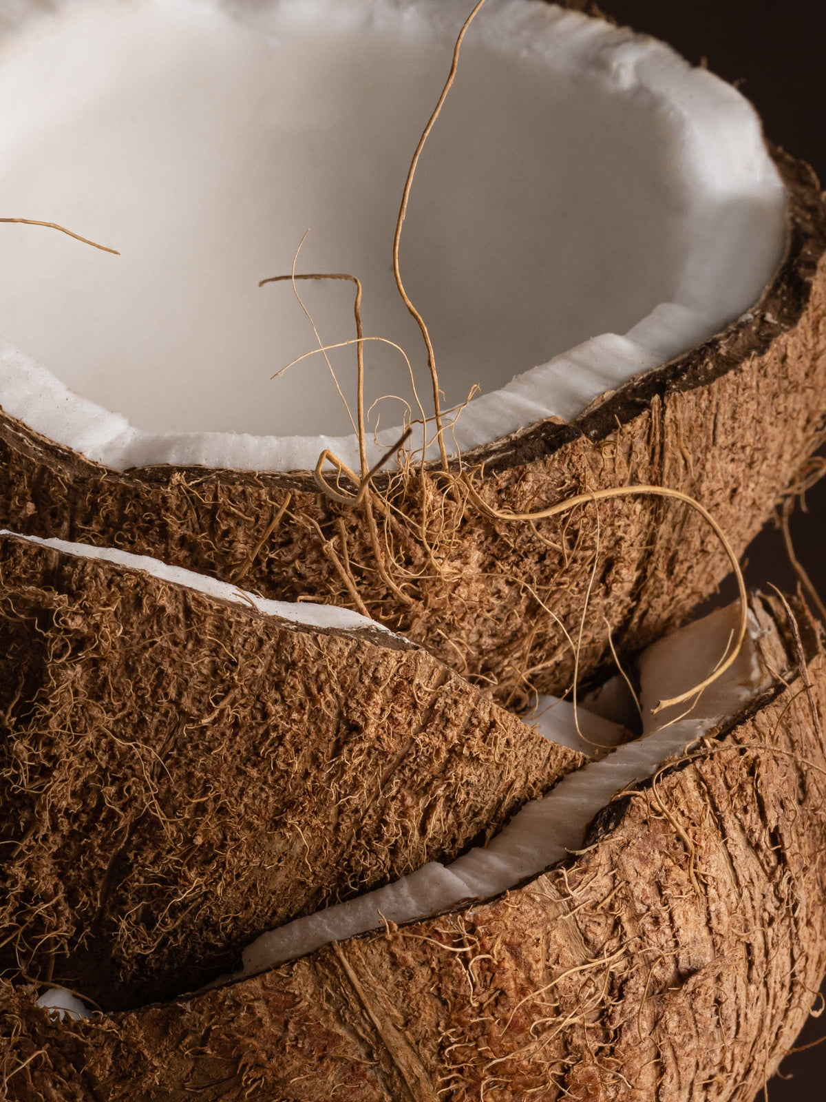 Tulum by Brooklyn Candle Studio - Pura Scent Refill