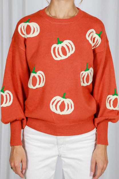 Pumpkin Embroidered Crew Neck Knitted Sweater Top VT82559: Pumpkin / S
