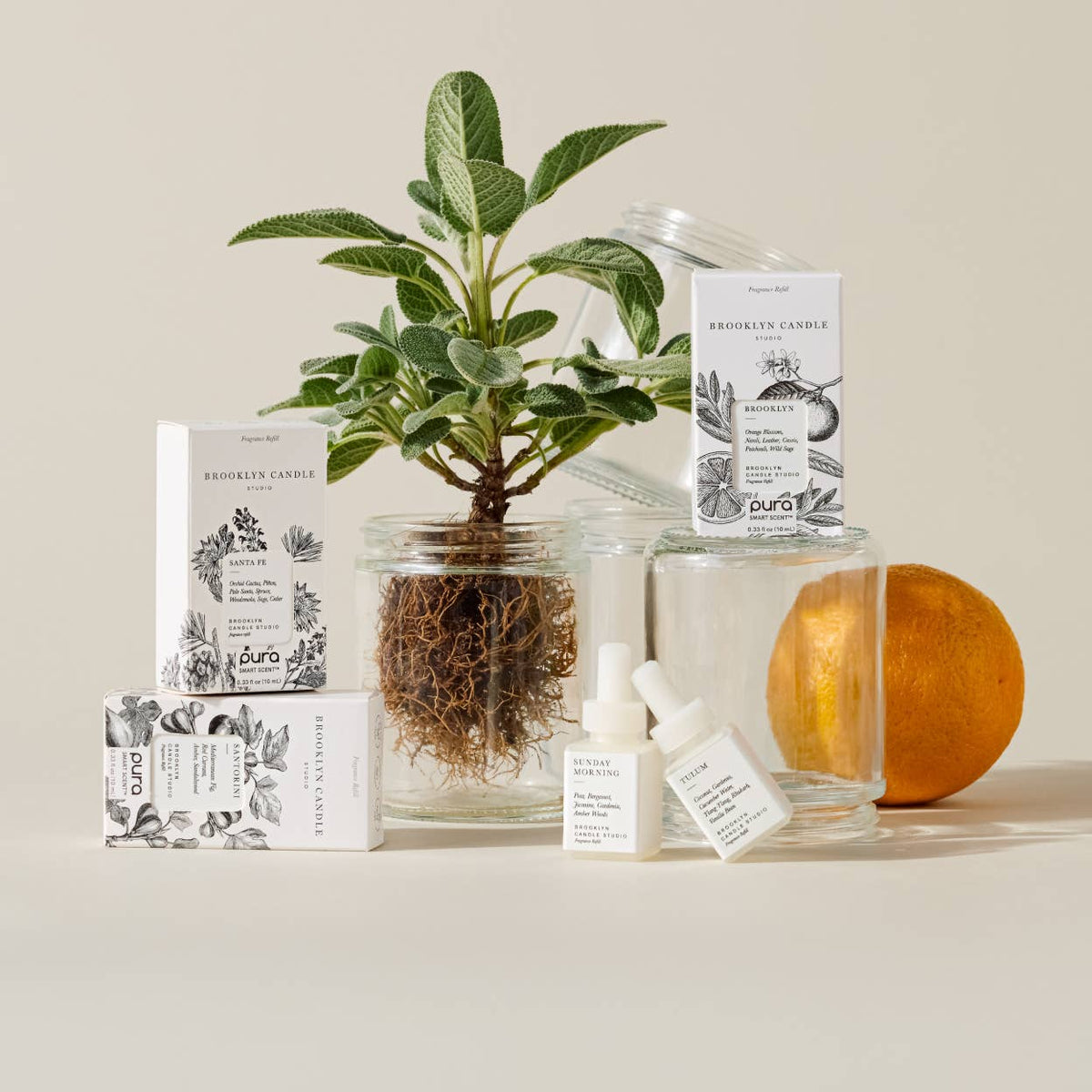 Tulum by Brooklyn Candle Studio - Pura Scent Refill