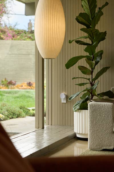 Honeysuckle by Simplicity - Pura Home Diffuser Scent Refill