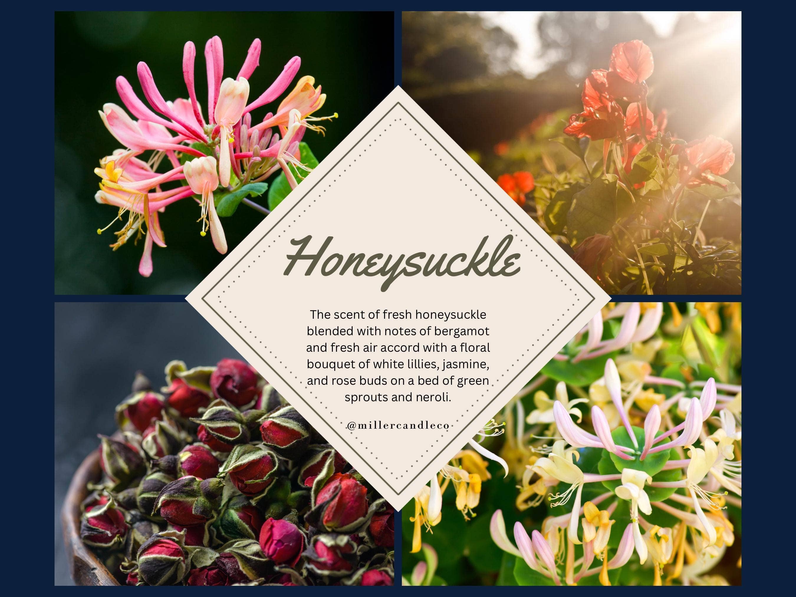 Honeysuckle Wax Melts